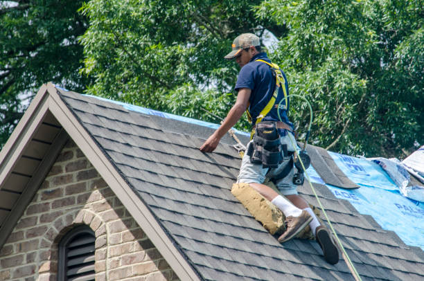 Best Local Roofing Companies  in Delcambre, LA